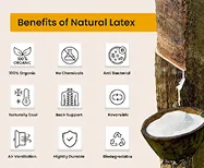Natural Latex Mattress